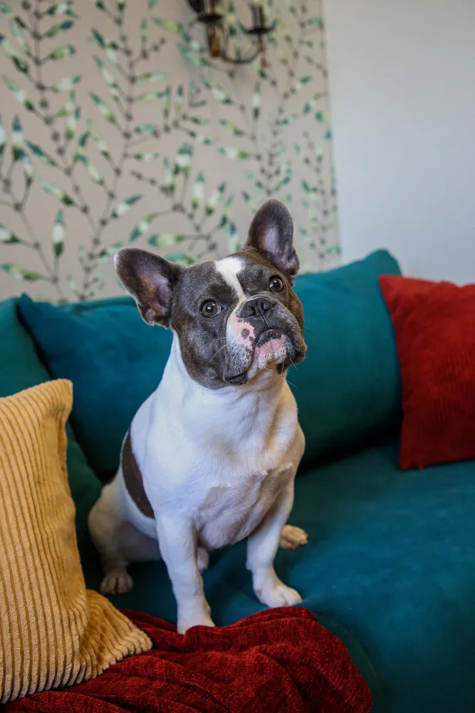 Фотографія: Гостиная в стилі Современный, Квартира, Проект дня, Московская область, Монолитный дом, 3 комнаты, 60-90 метров, Жуковский, Мария Чикунова – фото на нашем сайте