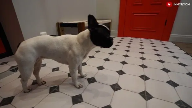 Photo : style, Entrée, Petit appartement – photo sur notre site