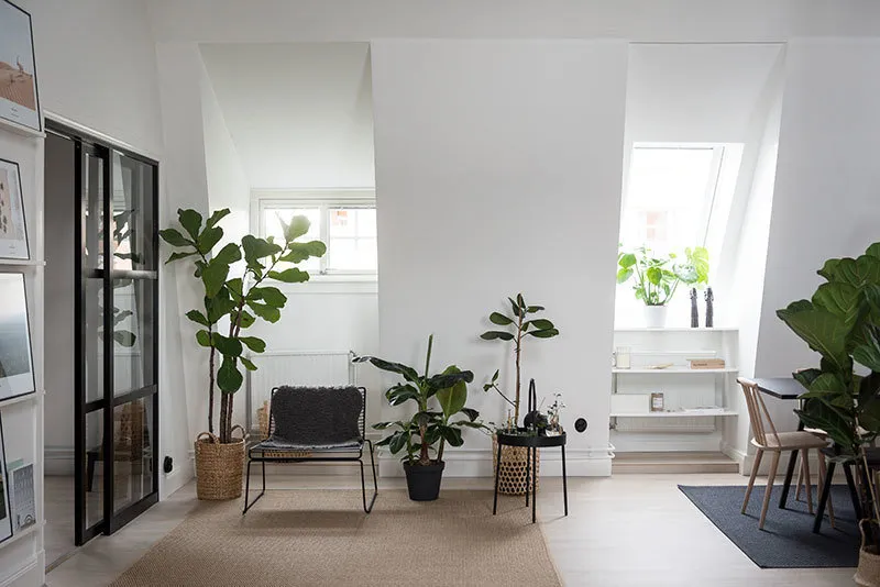 照片：斯堪的纳维亚风格客厅，室内装饰，公寓，瑞典，4人或更多，面积90平方米以上，Vesteros – 我们网站上的照片