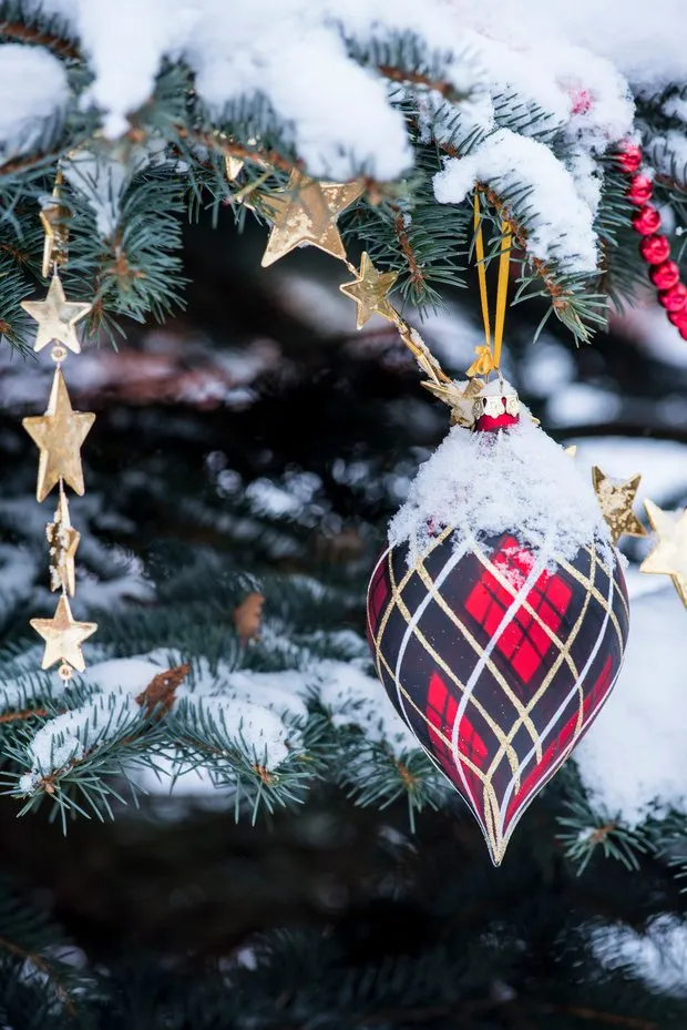 Photo: in style , Interior decoration, Yelena Zhdanova, Guide, Stepan Bugayev, Olga Shapovalova, Nailya Zотова, Oksana Panteleeva, Olga Kulikovskaya-Eshbi, Marina Zhukova, Pavel Zheleznov, Tatiana Gorkova, Mike Shilov, Katerina Chistova – photo on our site