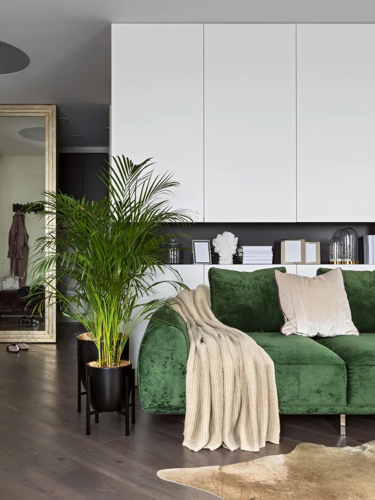 Diseño: Olga Kupchinskaya