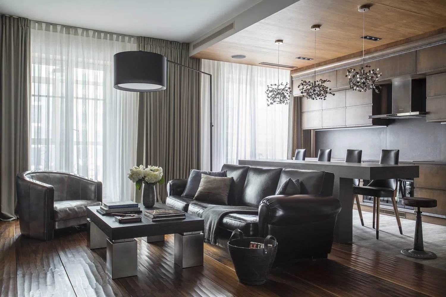 照片：现代风格客厅，技巧–我们网站的照片