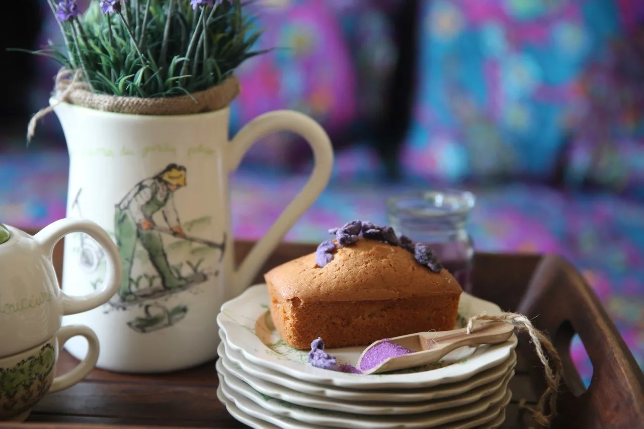 照片：时尚指南 – 我们网站上的照片