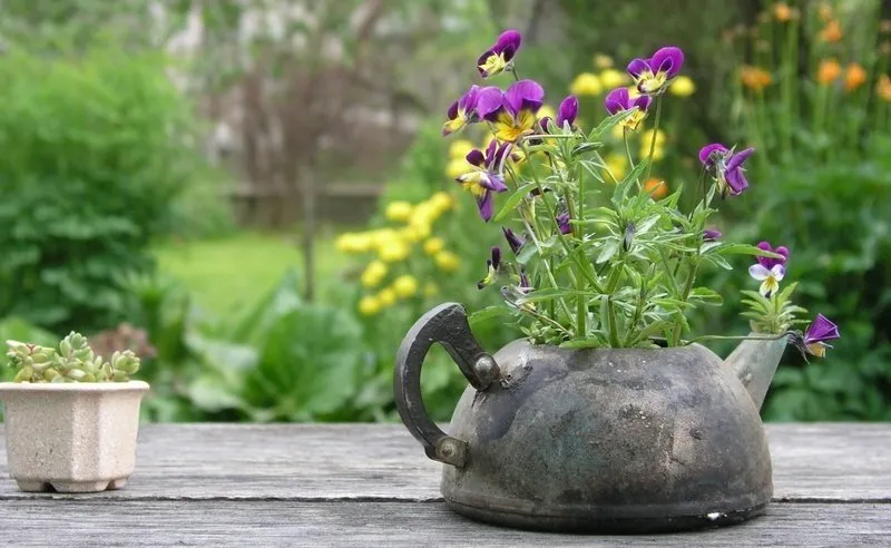 Photo: in style, Tips, Victoria Kruzhinina – photo on our website