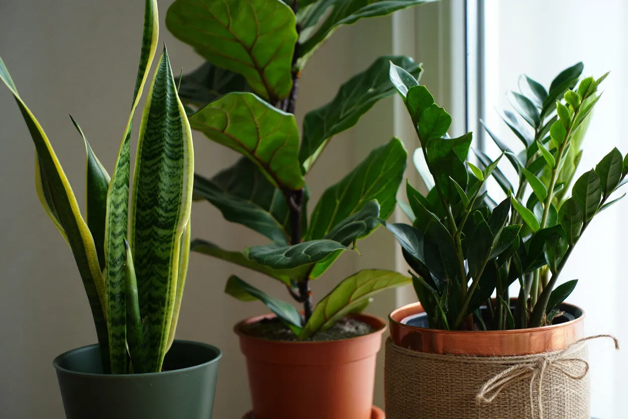 Photo : en style , Intérieur de chambre, Style d'intérieur, Design d'intérieur, Conseils, comment rafraîchir l'intérieur, comment rafraîchir un appartement de location, comment rafraîchir l'intérieur sans rénovation, décoration d'intérieur automnale, rafraîchissement de l'intérieur en week-end, Automne, comment rafraîchir l'intérieur avec des plantes, Rénovation automnale, comment rafraîchir un appartement en automne, ambiance automnale – photo sur notre site