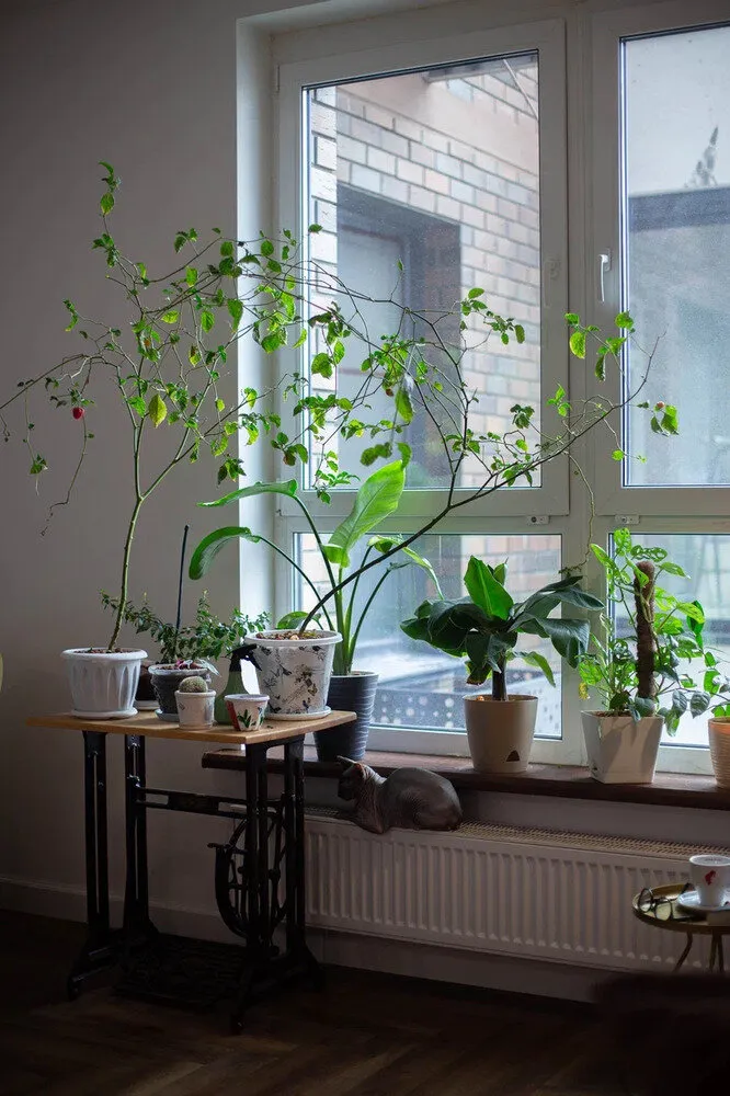 Foto: im Stil von Mid-Century, Tipps – Fotos auf unserer Website