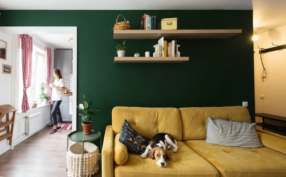 Дизайн: Катя і Єгор Вокіни