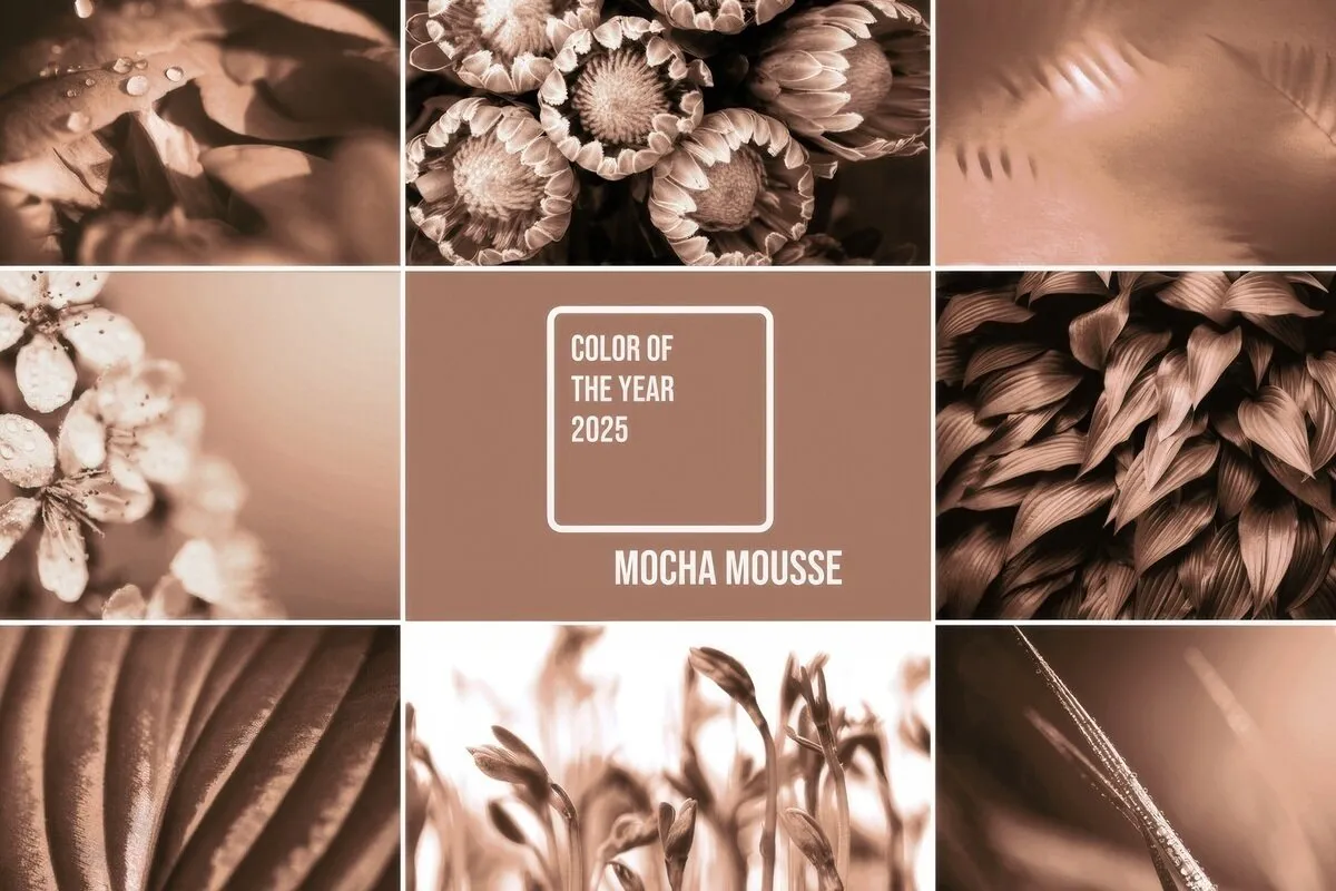 Photo: avatars.dzeninfra.ru