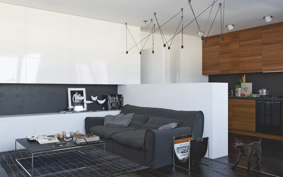 照片:现代风格客厅,厨房和餐厅,提示 – 我们网站上的照片