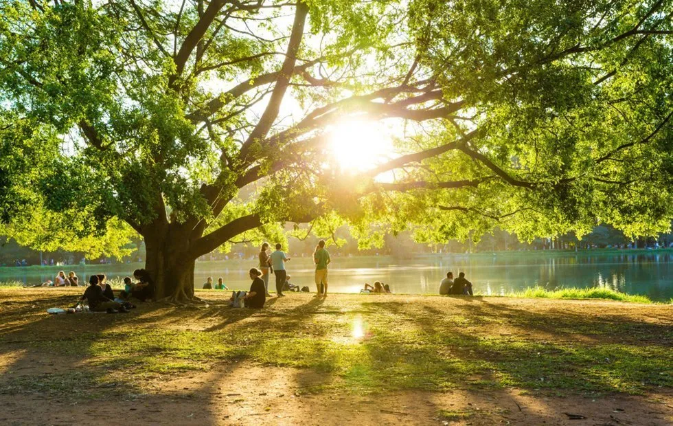 Foto: im Stil von , Thema des Monats, Führer, Olga Shapovalova, Margarita Rasskazova, Monatsergebnis, Anna Shalaeva – Foto auf unserer Website