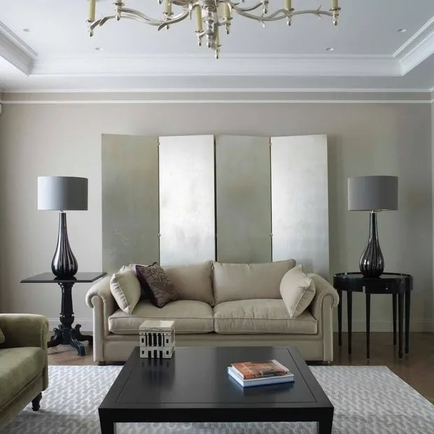 摄影：斯堪的纳维亚风格客厅，技巧 – 我们网站上的照片