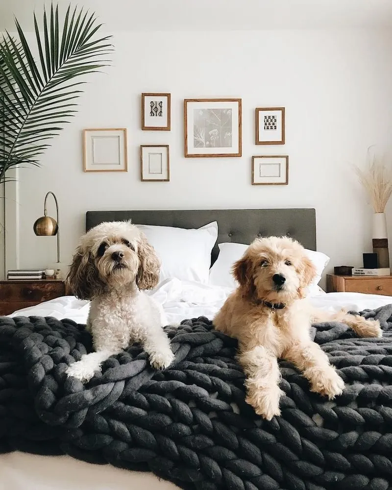 照片：现代风格卧室，室内颜色，建议，色彩搭配，室内配色方案，纳塔莉娅·莫什尼娜，伊琳娜·卓腾科，Verba Home – 我们网站上的照片