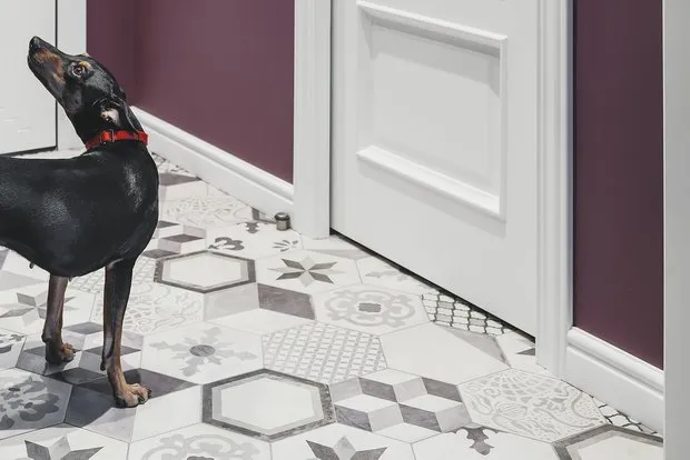 Foto: en estilo , Reparación en práctica – fotos en nuestro sitio web