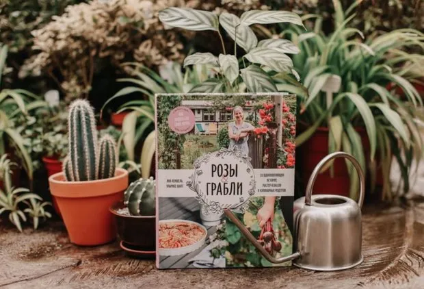 Costo con el código PROMOCIONAL ROOM2022: 780 rublos