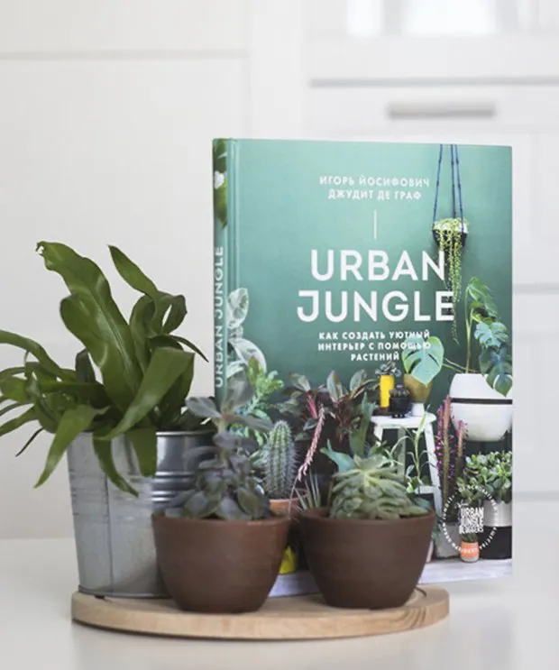 Costo con el código PROMOCIONAL ROOM2022: 943 rublos