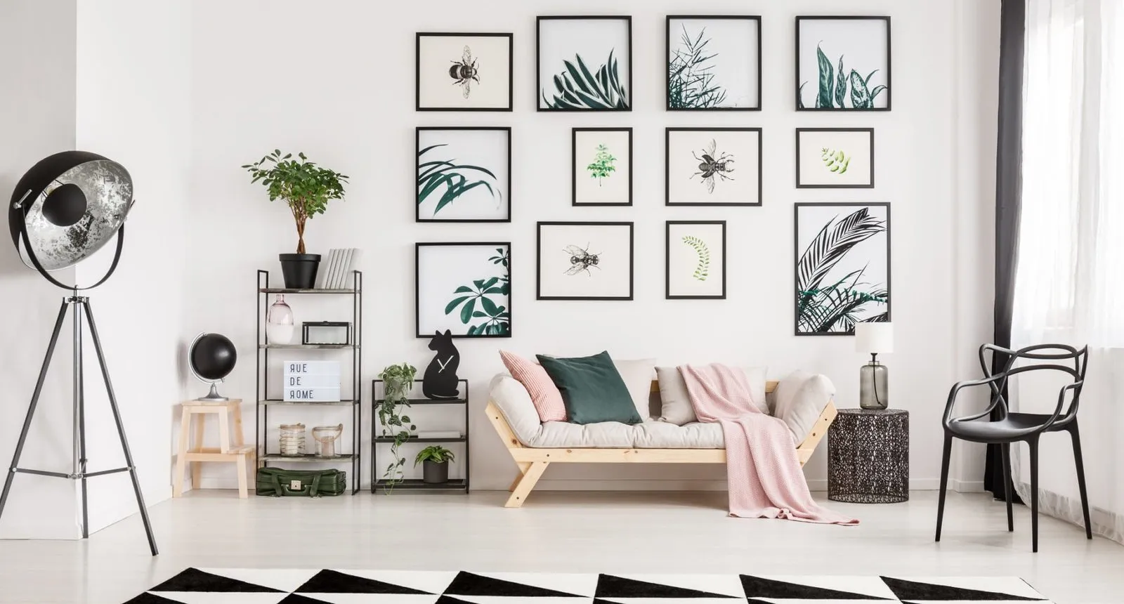 照片:生态风格客厅,建议,室内植物盆栽,室内装饰植物,百科全书_装饰,Leroy Merlin,植物,如何通过植物更新室内装饰——我们网站上的照片