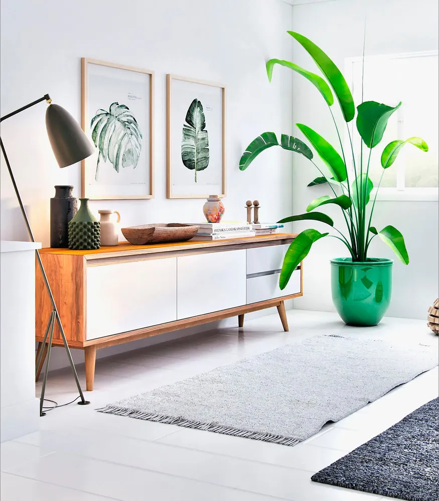 照片:斯堪的纳维亚风格客厅,建议,室内植物盆栽,室内装饰植物,百科全书_装饰,Leroy Merlin,植物,如何通过植物更新室内装饰——我们网站上的照片