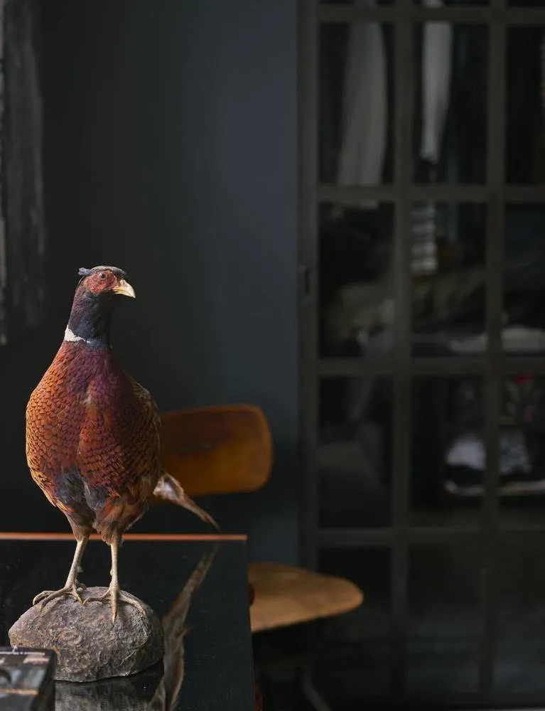 照片：普罗旺斯与乡村风格卧室、现代、斯堪的纳维亚风格、室内装饰、公寓、瑞典、绿色、斯德哥尔摩、灰色、品红、宜家 —— 来自我们网站的照片