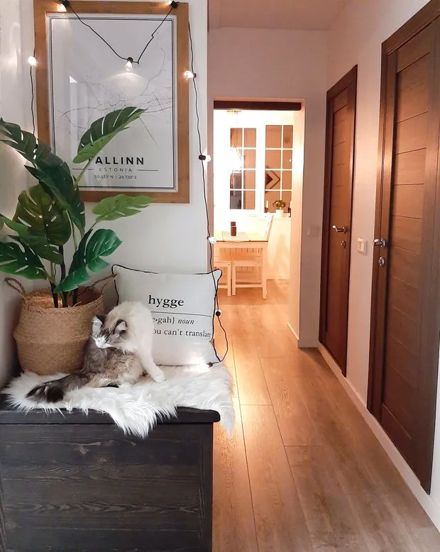 照片:斯堪的纳风格客厅,如何自己装饰室内,卡特琳娜·富诺娃 – 网站上的照片