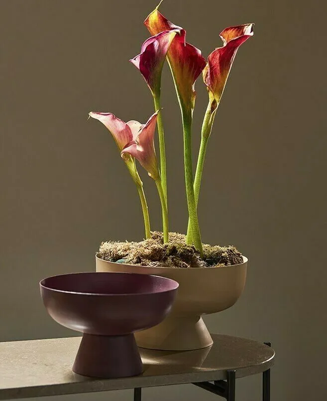 Foto: en estilo , Guía – foto en nuestro sitio web