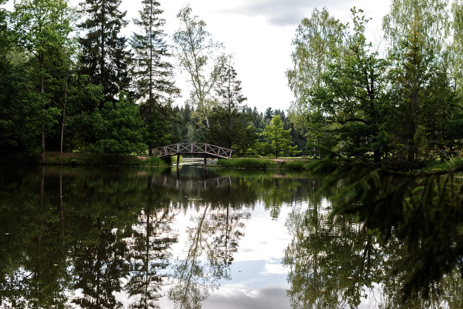 照片：风格，向导，娜塔莉亚·格拉杜索娃——我们网站上的照片
