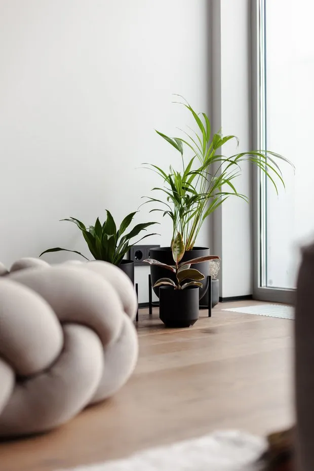 Photo: in style, Tips, Spring Cleaning – photos on our website