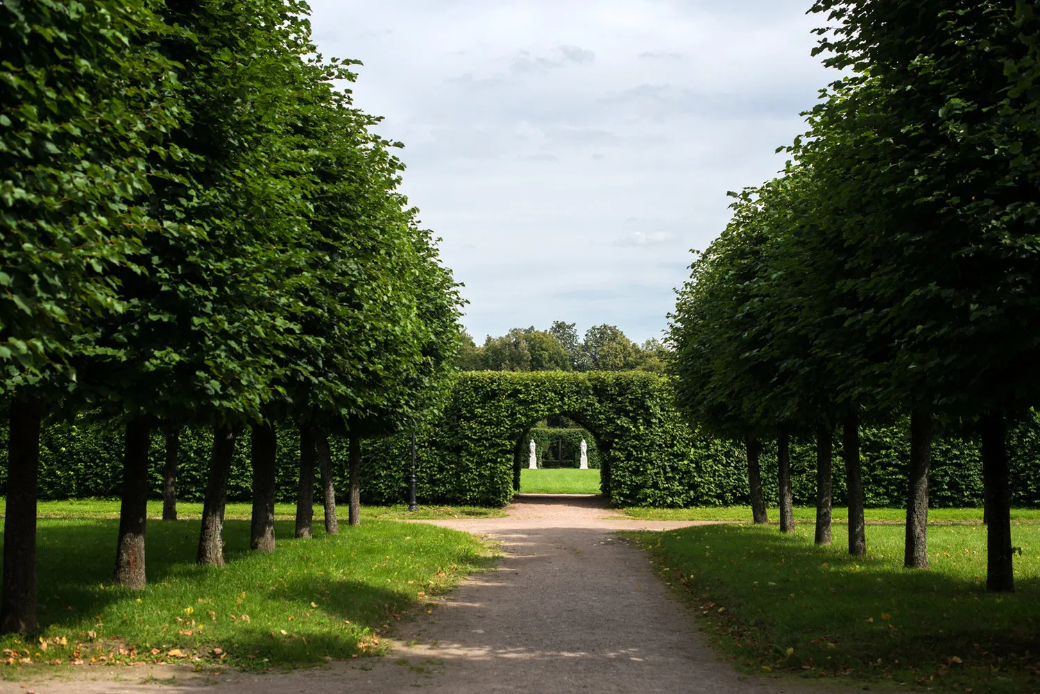 照片：风格，向导，娜塔莉亚·格拉杜索娃——我们网站上的照片