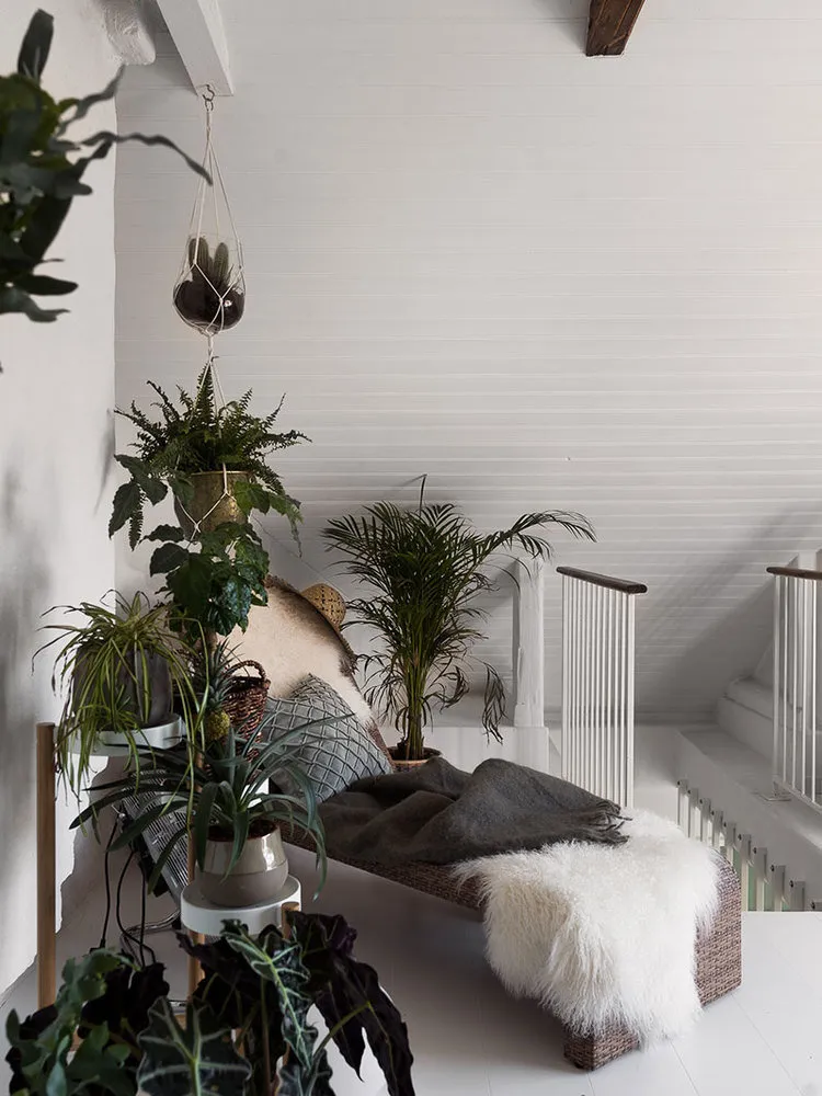 照片：北欧、普罗旺斯和乡村风格的门厅，室内装饰，公寓，瑞典，斯德哥尔摩，3个房间 – 我们网站上的照片