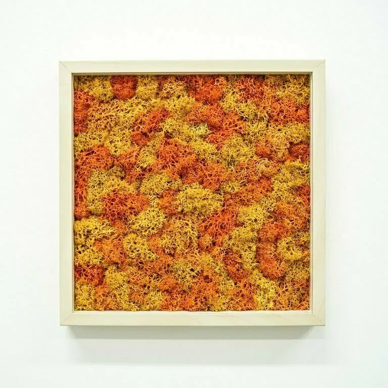 Foto: en estilo , Decoración de interiores, Guía – foto en nuestro sitio web