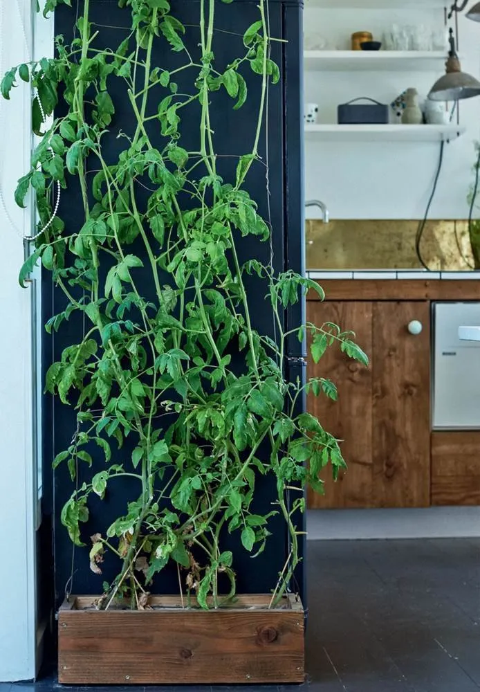 照片：风格、房屋、平面图、室内设计、露台，40-60平方米 – 网站上的照片