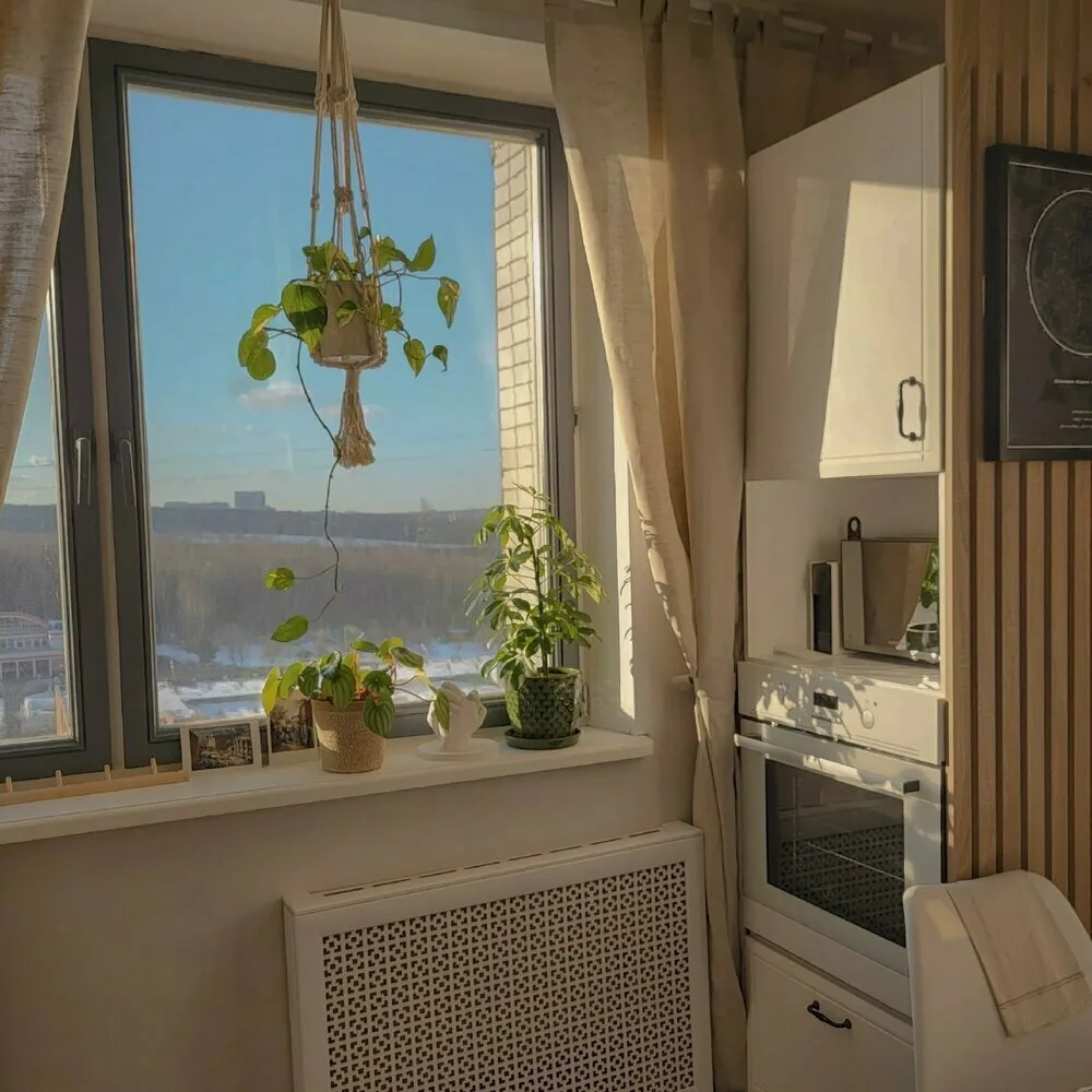 Foto: en estilo Consejos de Reforma en la práctica – foto en nuestro sitio web