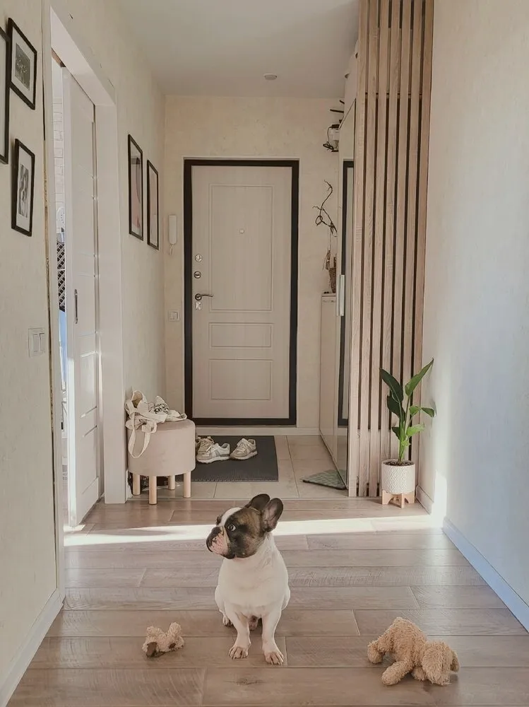 Foto: en estilo Consejos de Reforma en la práctica – foto en nuestro sitio web