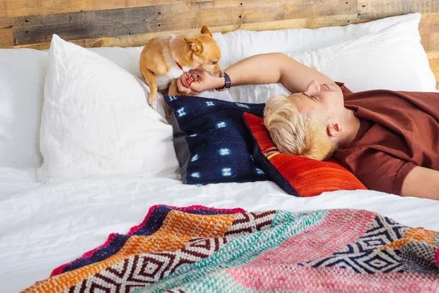 照片:北欧风客厅,折中风格,室内装饰,美国,粉色,如何布置租赁公寓,如何改善租赁公寓的内饰,租赁公寓装饰,明亮的室内设计,新奥尔良 – 我们网站上的照片