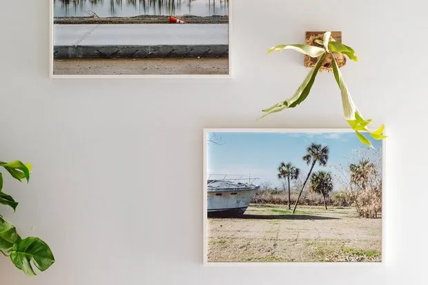 照片:北欧风客厅,折中风格,室内装饰,美国,粉色,如何布置租赁公寓,如何改善租赁公寓的内饰,租赁公寓装饰,明亮的室内设计,新奥尔良 – 我们网站上的照片