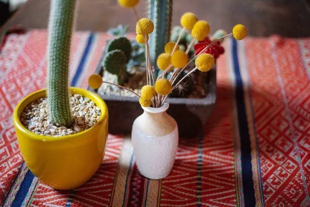 照片:北欧风客厅,折中风格,室内装饰,美国,粉色,如何布置租赁公寓,如何改善租赁公寓的内饰,租赁公寓装饰,明亮的室内设计,新奥尔良 – 我们网站上的照片