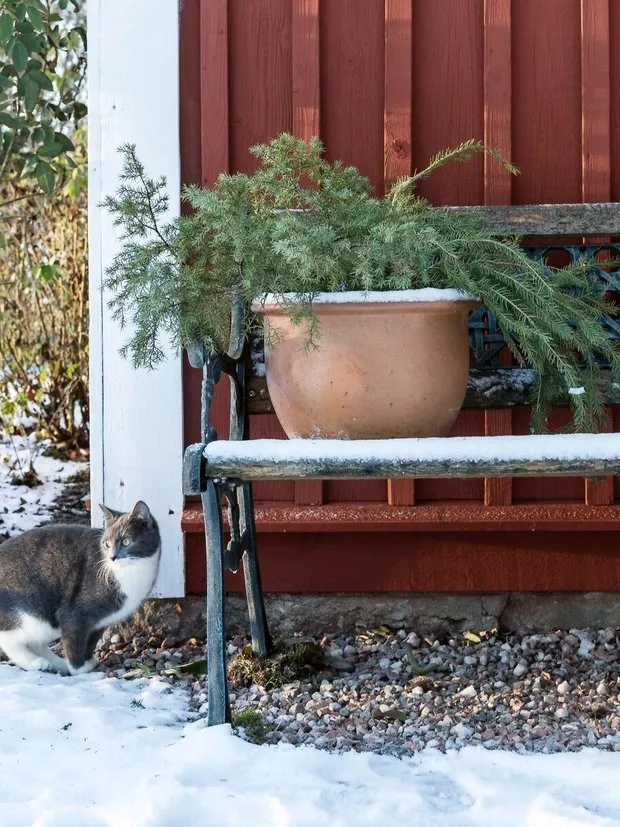 Фотография: Кухня и столовая в стиле Скандинавский, Прованс и Кантри, Декор интерьера, Дом, Белый, Зеленый, Серый, Дом и дача – фото на нашем сайте