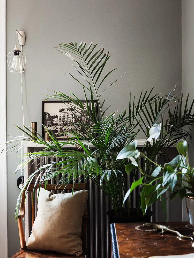 照片:风格,厨房与餐厅,客厅,卧室,斯堪的纳维亚,折中主义,室内装饰,公寓,瑞典,装饰,绿色,斯德哥尔摩,如何营造温馨氛围,如何布置两居室公寓,2个房间,40-60平方米,如何搭配图案 – 网站上的照片