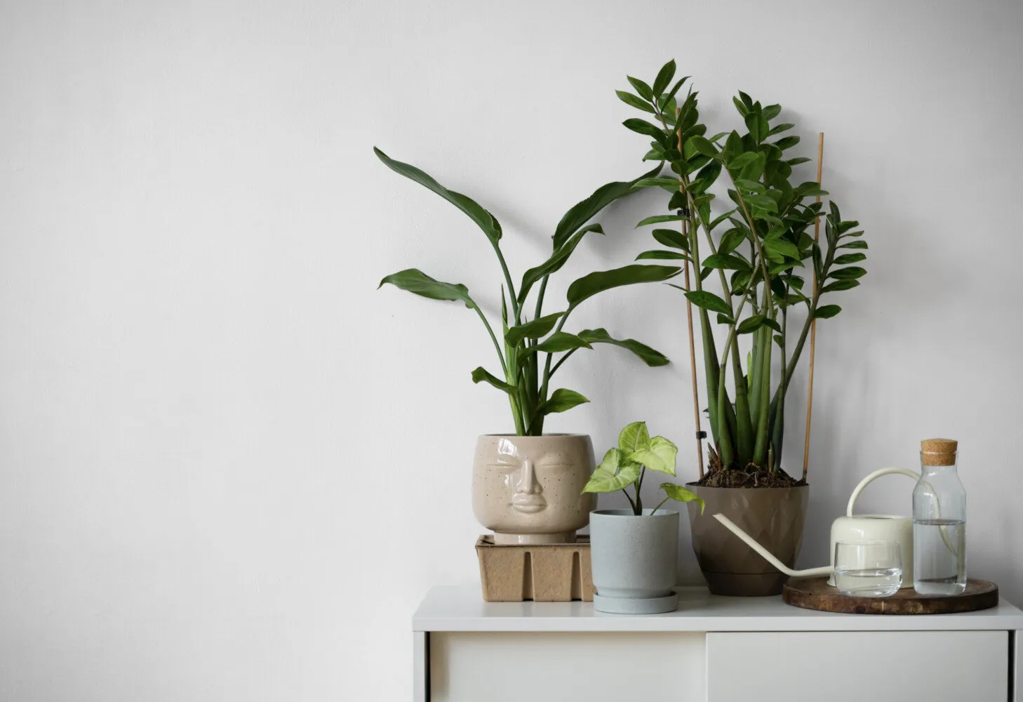 Фото: Designed by Freepik