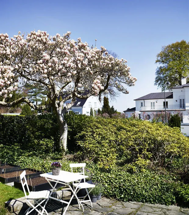 图片：现代风格，斯堪的纳维亚风格，房屋，丹麦，房屋与小屋——我们网站上的照片