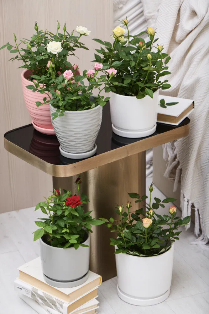 Фото: Designed by Freepik