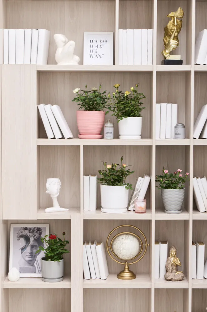 Фото: Designed by Freepik