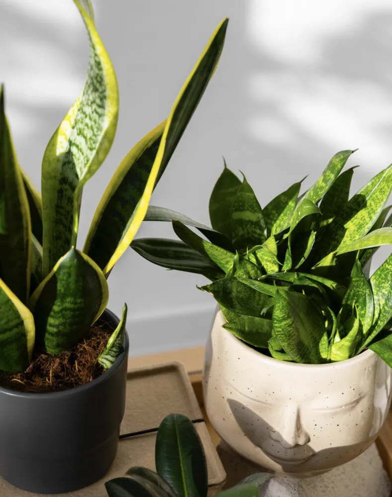 Фото: Designed by Freepik