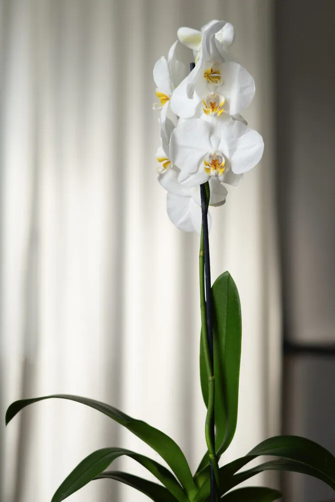 Фото: Designed by Freepik