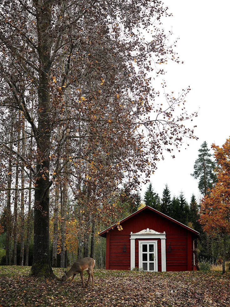 照片：——我们网站上的照片