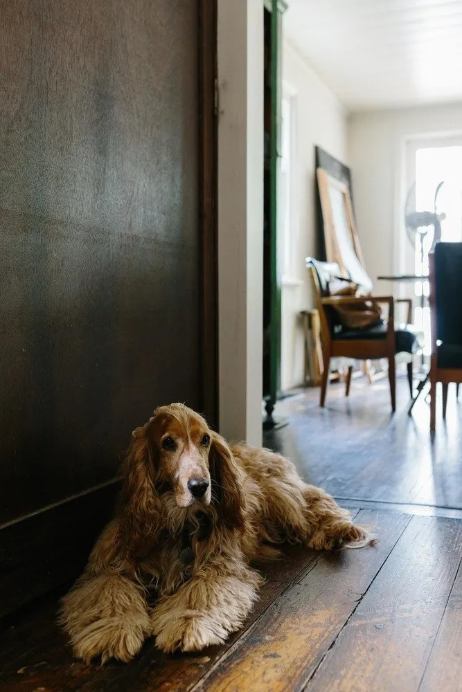 照片：时尚、室内装饰、家居、技巧、酒店、小屋、家居与小屋 – 我们网站上的照片