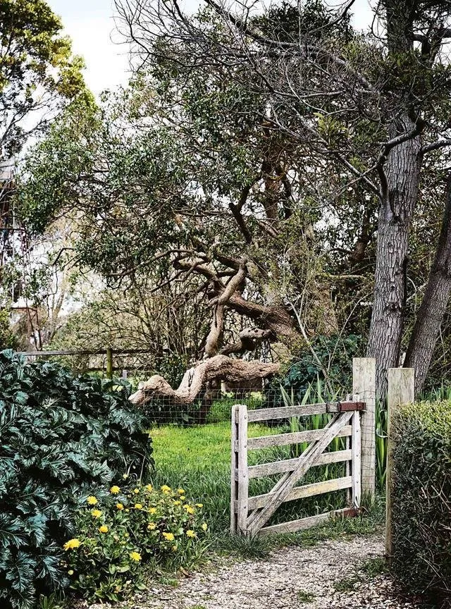 Photo: Interior design, Scandinavian style, Home decor, Australia, White, Minimalism, Grey – photo on our site