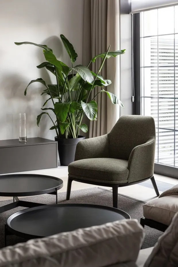 Diseño: SVOYA studio