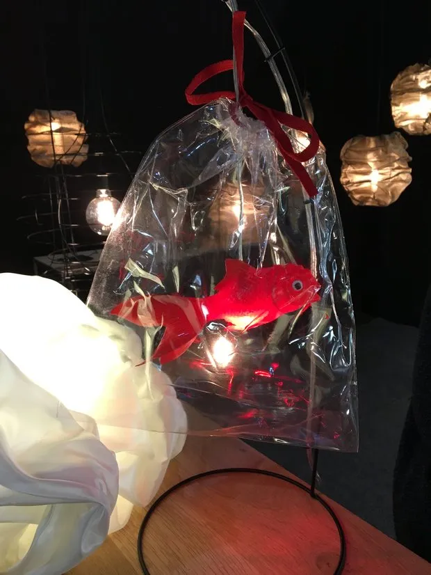 Photo: in style,  – photo on our website