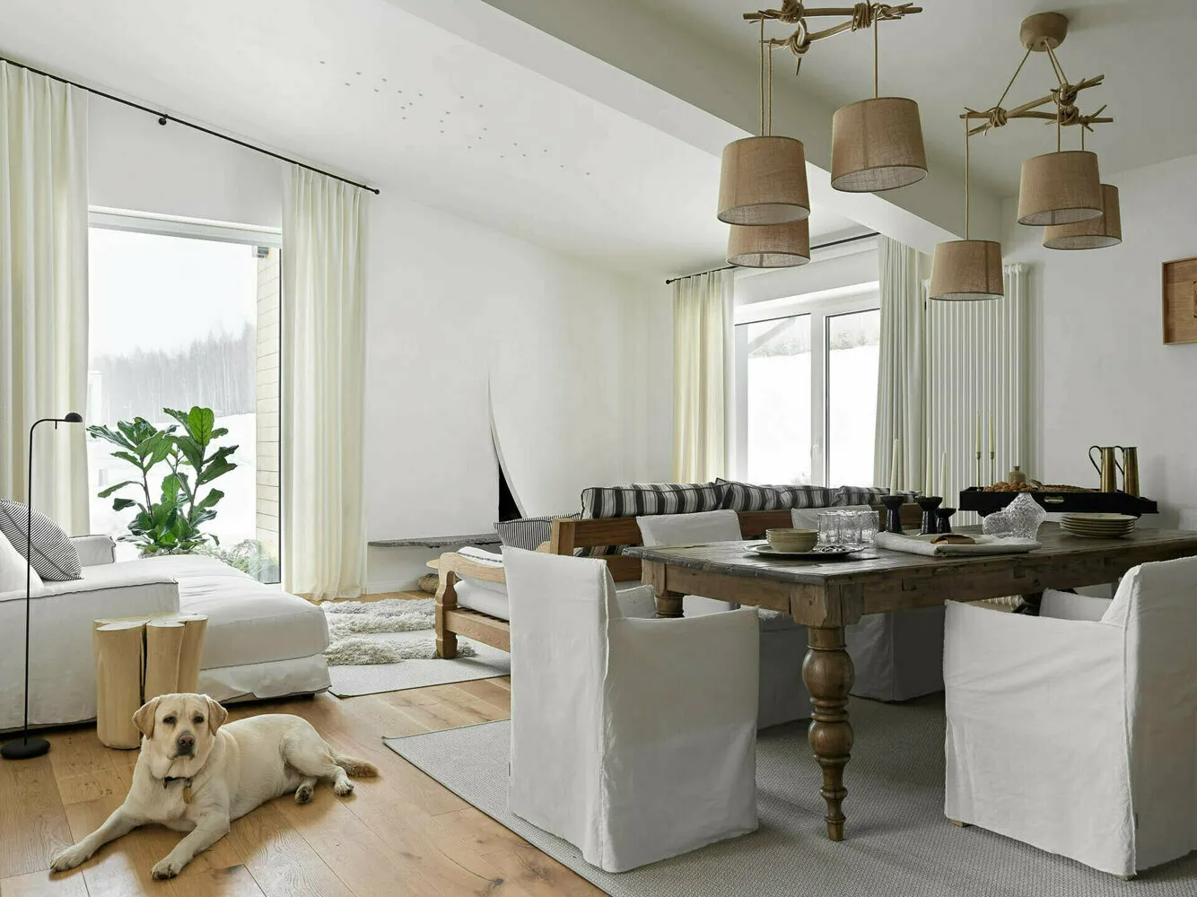 Diseño: Anastasia Rykova