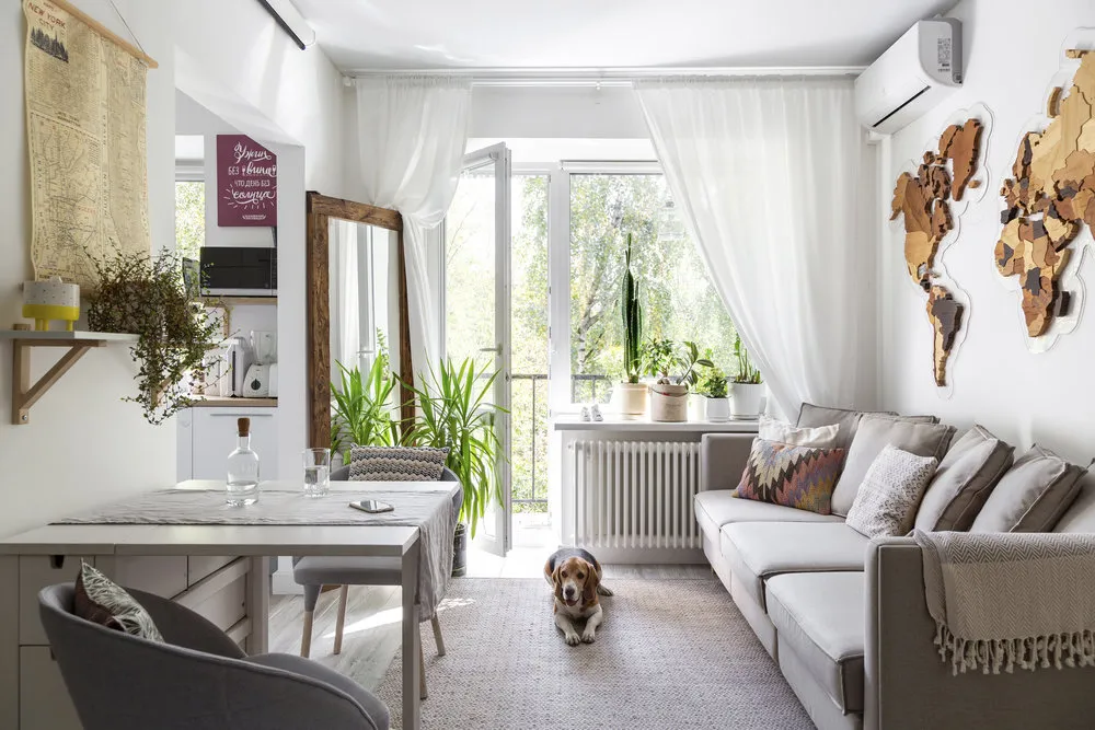 Photo: interior design, decor and DIY, plants in interior, living plants in interior, TB Design, Natalia Chuvinova, plants, Dasha Tretyakova, Chado, Marina Karalkina, Alexandra Sakmarova, Anastasia Zarkua – photos on our website